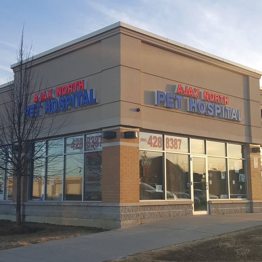 about our veterinary practice Ajax, ON LT J