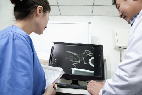 Advanced Digital X-rays Ajax, ON LT J