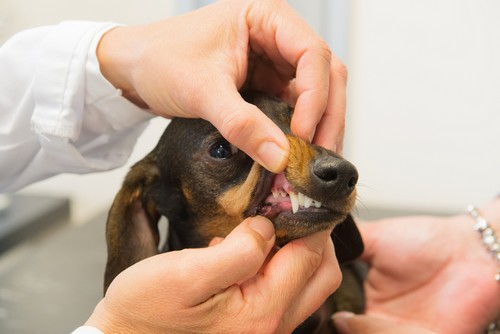 Dental Care Ajax, ON LT J