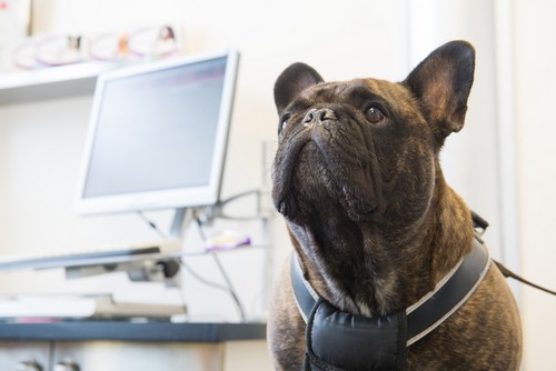 In-House Laboratory Ajax, ON LT J