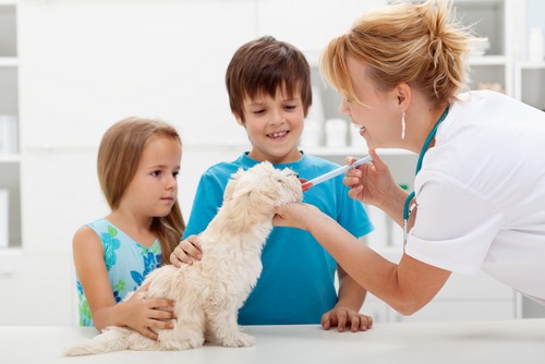 Vaccinations Ajax, ON LT J
